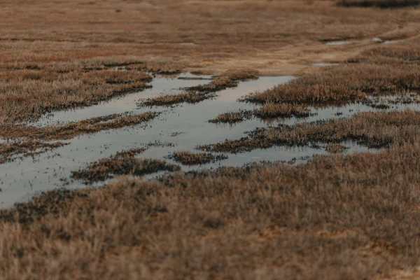 Latvijā palu sezona noslēgusies bez plaša mēroga plūdiem
