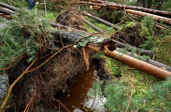 Gaidāmās vētras dēļ rīdzinieki svētdien aicināti neapmeklēt parkus, rotaļu laukumus un kapsētas