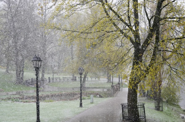 Vēju svētdien prognozē nedaudz lēnāku par sākotnēji prognozēto