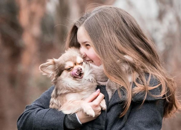 Kad kucēnu var pārcelt uz rūpnieciski ražotu barību
