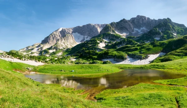Dabas video skatīšanās var sniegt līdzīgu efektu kā pastaiga dabā