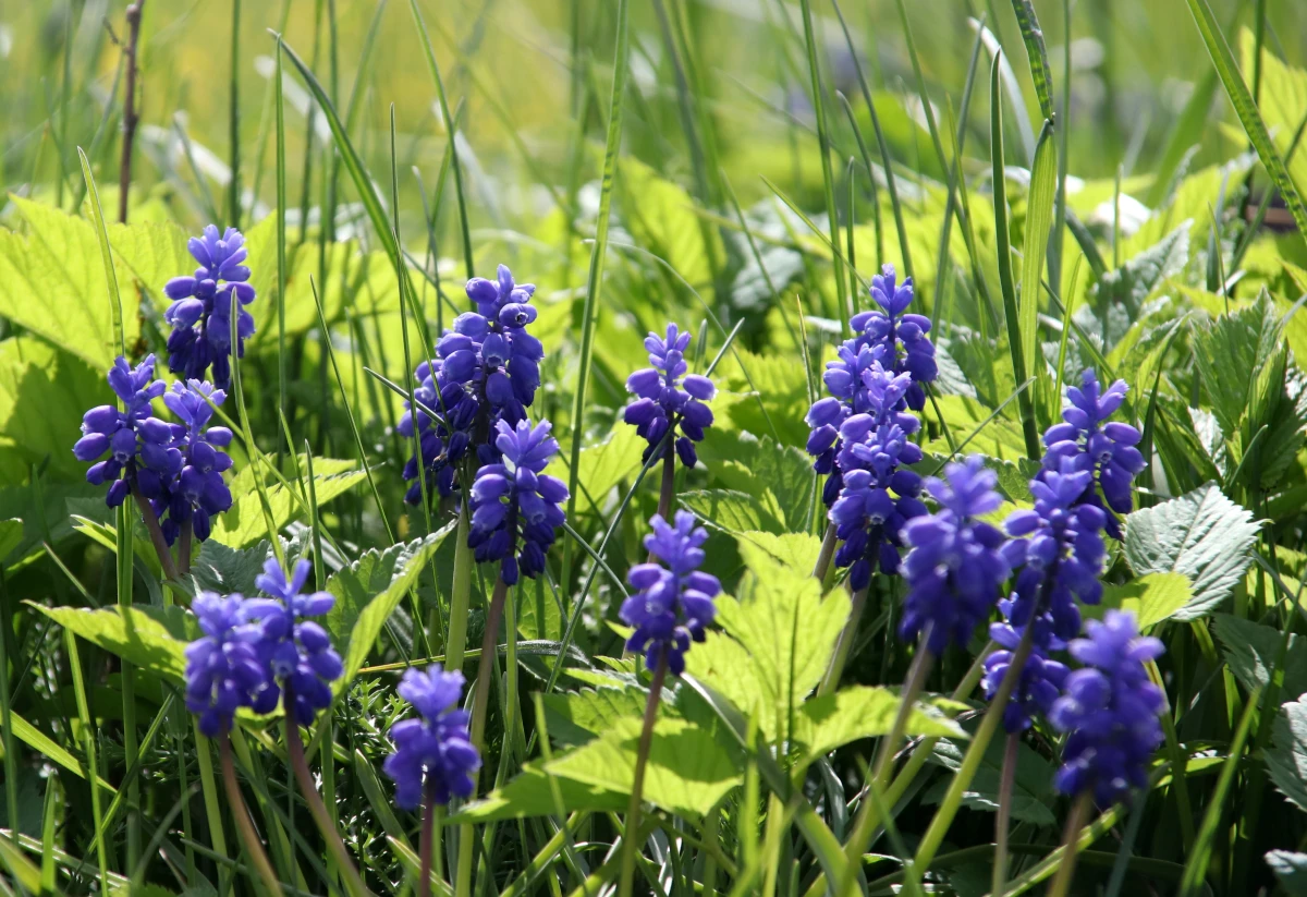 Gaisa temperatūra trešdien saglabāsies zem +10 grādiem