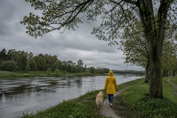 Jaunā darba nedēļa gaidāma lietaina un silta